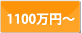 ���y�n1100